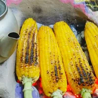 بلال درجه 1