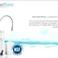 آقایان مجرب و متعهد