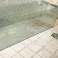 آکواریوم سالم