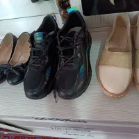 ۳جفت کفش