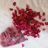 برگ خشک صورتی رنگ