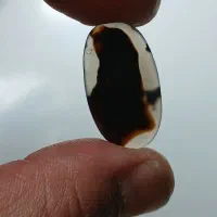 شجر|جواهرات|صحنه, |دیوار