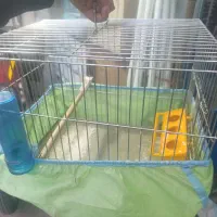 پنچ عدد قفس