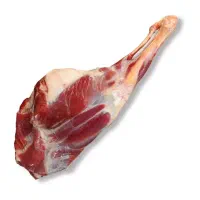 بازاریاب و ویزیتور