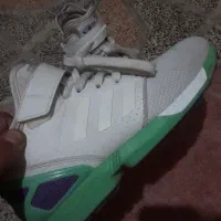 zxفولوکس ساق دار کفه کاهویی|کیف، کفش، کمربند|بهارستان, |دیوار