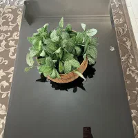 میز جلو مبلی و عسلی ها