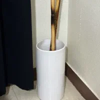 گلدون