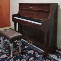 پیانو پرتابل p145 آک