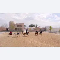 آموزش سوارکاری و اسب سواری|اسب و تجهیزات اسب‌سواری|اصفهان, کوی نرگس|دیوار