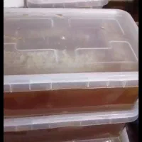 عسل ۱۰۰ درصد طبیعی بدون شکر|خوردنی و آشامیدنی|شیراز, گلشن|دیوار