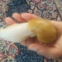 حلزون آلبینیو تخم گذار مخصوص پوست صورت