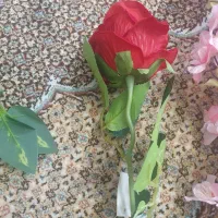 گل مصنوعی|گل مصنوعی|قم, زنبیل آباد|دیوار
