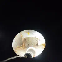 دستگاه آبگیری گوجه