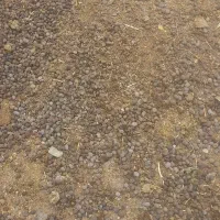 کود حیوانی گوسفندی کهنه پشکل قدیمی درجه یک|خدمات باغبانی و درختکاری|نورآباد, |دیوار