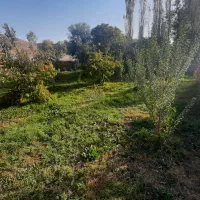 فروش باغ 700 متری سنددار (سند قطعی)