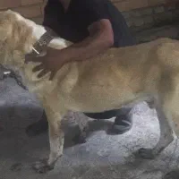 کمبود جا