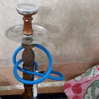 قلیون|کلکسیون و سرگرمی|قم, شاه سید علی|دیوار