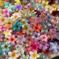 کلیپس مو عمده