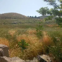 قطعات ۳۰۰ متری کردان|فروش زمین و ملک کلنگی|کرج, برغان|دیوار