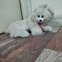 عروسک سگ