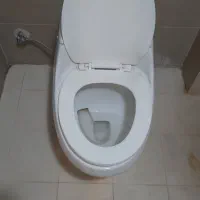 توالت فرنگی