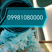 سیم کارت رند عالی09981080000