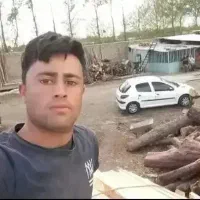 خرید چوبهای باغبانی و هیزمی هرس|خدمات باغبانی و درختکاری|کرج, کمالشهر|دیوار