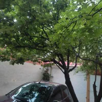 ویلایی|فروش خانه و ویلا|مشهد, هفت تیر (نه دره)|دیوار