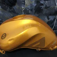 باک طلایی بنلی