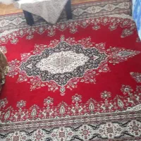 فرش ۱۲ متری قالی سلیمان|فرش|تنکابن, |دیوار