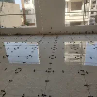 استا کاشی و سرامیک|خدمات پیشه و مهارت|زاهدان, |دیوار