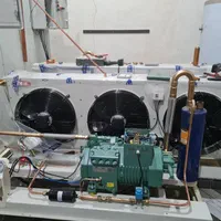 تعمیرات‌تخصصی‌سردخانه‌دستگاه‌بستنی‌چیلر‌‌یخساز‌|خدمات پیشه و مهارت|کرمان, |دیوار