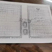زمین