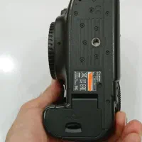 canon 5dsr|دوربین عکاسی و فیلم‌برداری|تهران, مرزداران|دیوار