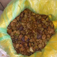 باقلای مخصوص پخت|خوردنی و آشامیدنی|نوکنده, |دیوار