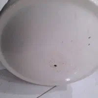 پنکه مارک cmc|پنکه و تصفیه‌کنندهٔ هوا|اهواز, شهرک دانشگاه|دیوار