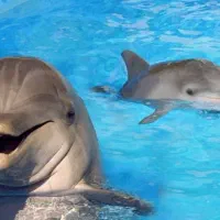 گردشگری جزیره قشم و هرمز