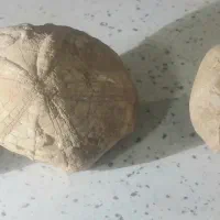 سنگهای تزیینی وشهاب سنگ