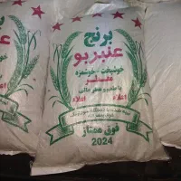 برنج عنبر بو|عمده‌فروشی|مسجد سلیمان, |دیوار