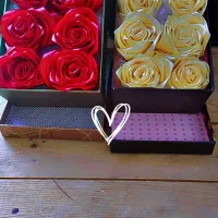 گل جاویدان وگل روبانی