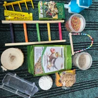 پک کامل و تشویقی پرنده