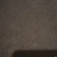 دوعددموکت کاملا سالم هرکدام ۷۰۰