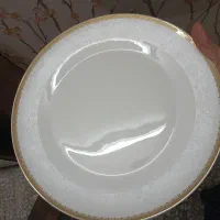 سرویس چینی استخونی روزنتال اصل آلمان