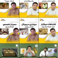طراحی گرافیک لوگو تا تدوین وایرال با بهترین قیمت|خدمات رایانه‌ای و موبایل|تهران, آجودانیه|دیوار
