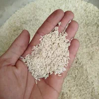 برنج کاظمی|خوردنی و آشامیدنی|تهران, امانیه|دیوار