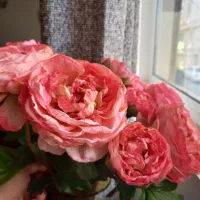 گل مصنوعی|گل مصنوعی|همدان, |دیوار