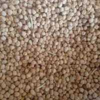 نخودریز|خوردنی و آشامیدنی|چگنی, |دیوار