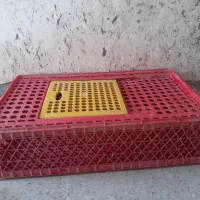 قفس راکش کبوتر