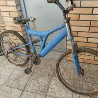 دوچرخه ساده و کورسی پژو