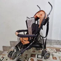 کالسکه عصایی